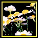 BetterPhoto Member