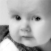 BetterPhoto Member