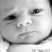 BetterPhoto Member