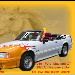 BetterPhoto Member Since: 2/28/2005