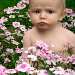 BetterPhoto Member