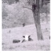 BetterPhoto Member