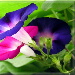 BetterPhoto Member