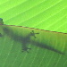BetterPhoto Member