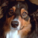 BetterPhoto Member