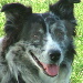 BetterPhoto Member
