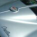 BetterPhoto Member