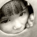 BetterPhoto Member