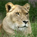 BetterPhoto Member