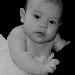 BetterPhoto Member