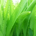 BetterPhoto Member