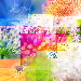 BetterPhoto Member