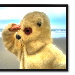 BetterPhoto Member