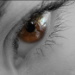 BetterPhoto Member