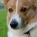 BetterPhoto Member