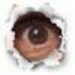 BetterPhoto Member