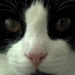 BetterPhoto Member