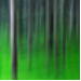 BetterPhoto Member