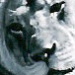 BetterPhoto Member