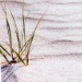 BetterPhoto Member