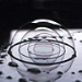 BetterPhoto Member