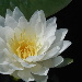 BetterPhoto Member
