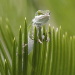 BetterPhoto Member
