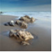BetterPhoto Member