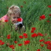 BetterPhoto Member