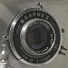 BetterPhoto Member