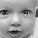 BetterPhoto Member