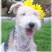 BetterPhoto Member