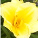 BetterPhoto Member