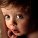 BetterPhoto Member