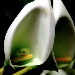 BetterPhoto Member