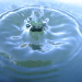 BetterPhoto Member