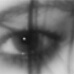 BetterPhoto Member