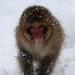 BetterPhoto Member