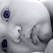 BetterPhoto Member