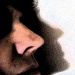 BetterPhoto Member