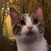 BetterPhoto Member
