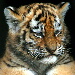 BetterPhoto Member
