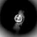 BetterPhoto Member
