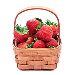 BetterPhoto Member