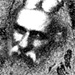 BetterPhoto Member