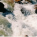 BetterPhoto Member