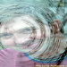 BetterPhoto Member