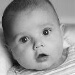 BetterPhoto Member