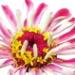 BetterPhoto Member