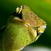 BetterPhoto Member